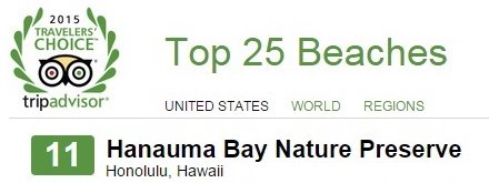 Voted 11th of the Top 25 Beaches in the United States